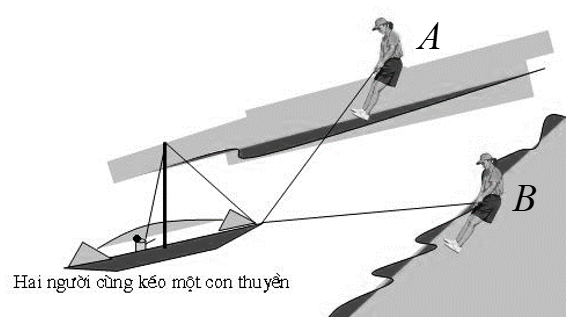 Hình minh họa câu hỏi